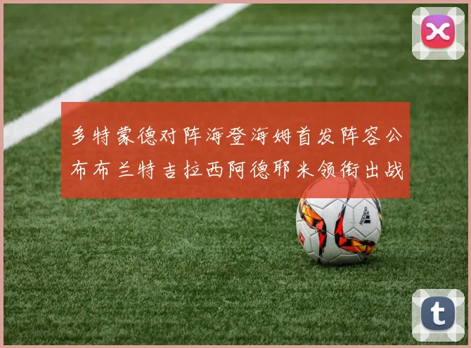 多特蒙德对阵海登海姆首发阵容公布布兰特吉拉西阿德耶米领衔出战