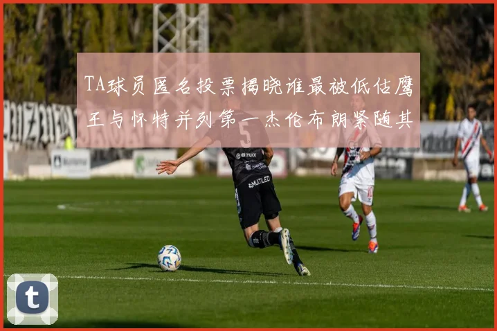 TA球员匿名投票揭晓谁最被低估鹰王与怀特并列第一杰伦布朗紧随其后