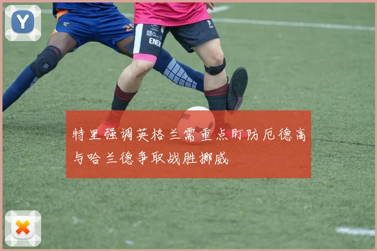 特里强调英格兰需重点盯防厄德高与哈兰德争取战胜挪威
