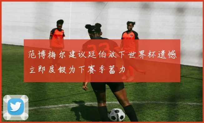 范博梅尔建议廷伯放下世界杯遗憾立即度假为下赛季蓄力